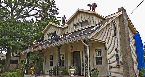 Best Shingle Roofing Installation  in Canton, MS
